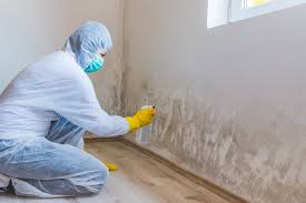 Best Mold Prevention Services  in Benicia, CA