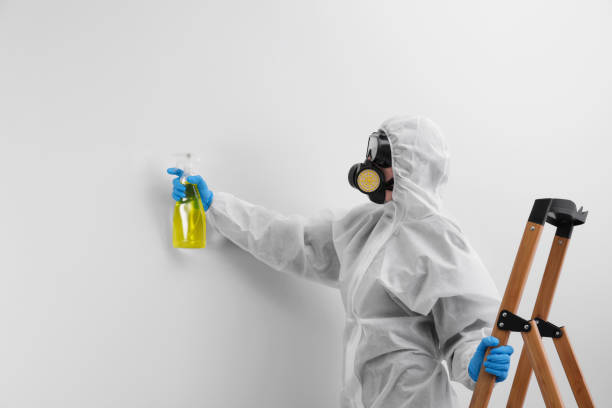 Best Forensic Mold Investigation  in Benicia, CA